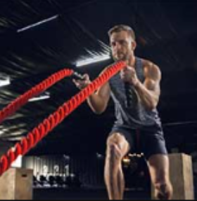 Fitness training ropes